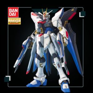 Bandai Gundam Anime Action Assembly Model MG 1/100 SEED Assault Assault Free Radical Pull SF With Bracket Ornaments Decoration